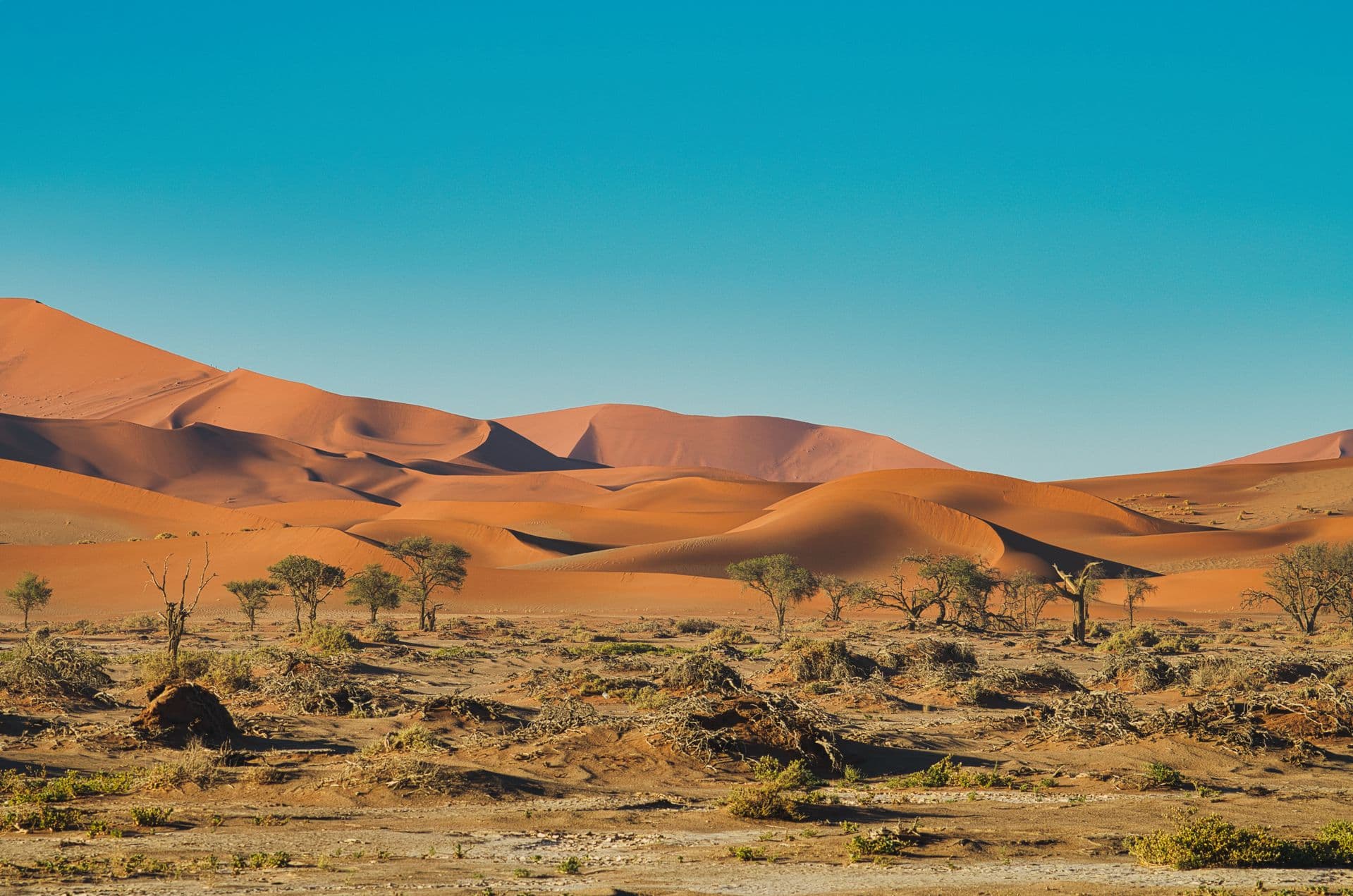 Namibia